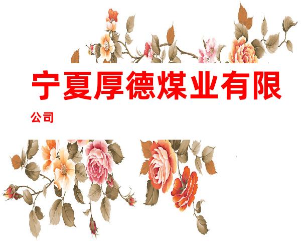 宁夏厚德煤业有限公司