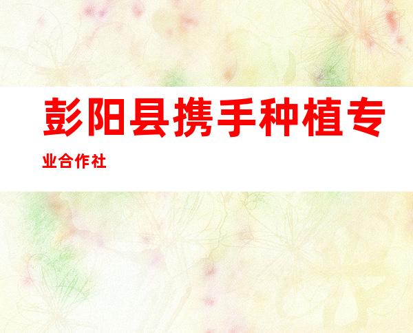 彭阳县携手种植专业合作社