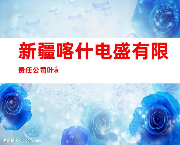 新疆喀什电盛有限责任公司叶城分公司