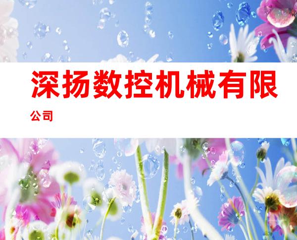 深扬数控机械有限公司